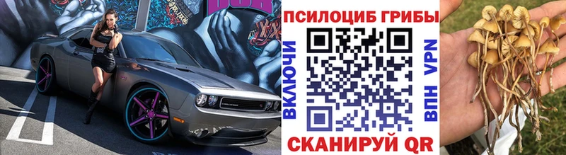 сколько стоит  Петровск-Забайкальский  Псилоцибиновые грибы Magic Shrooms 